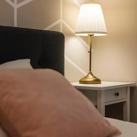 Appartement #comfy In Old Town Timişoara