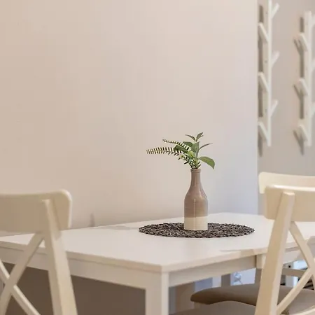 #comfy In Old Town Timişoara