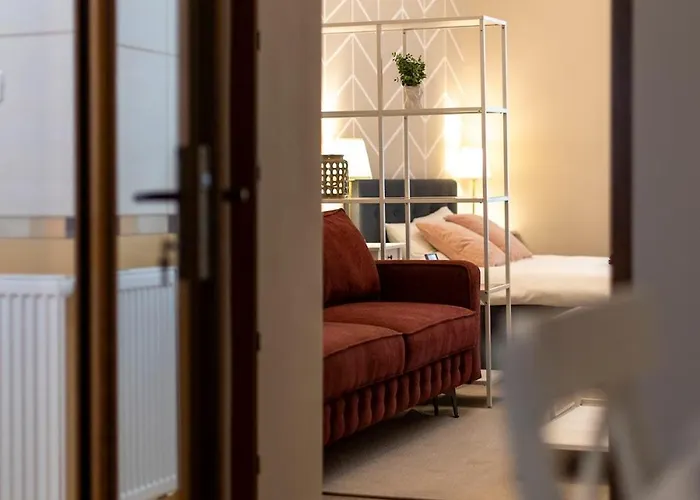 Apartament #comfy In Old Town Timişoara