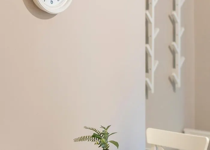 #comfy In Old Town Timişoara